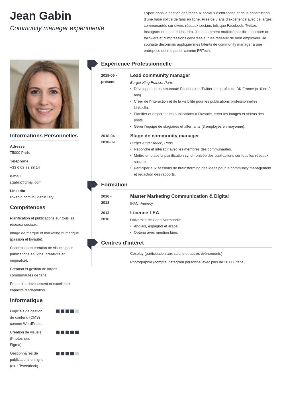 Curriculum Vitae En Francais Free Download Expert Cv Resume Template 