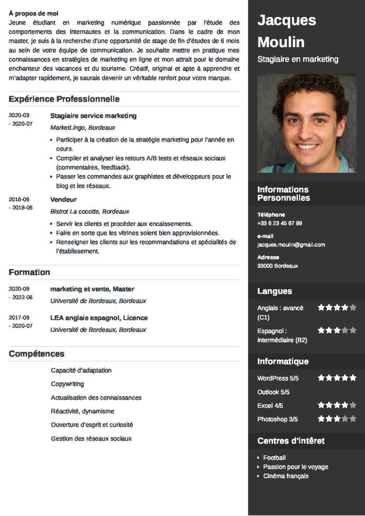Loisirs Cv Resume David Dayan Landscape Engineer And Graphist