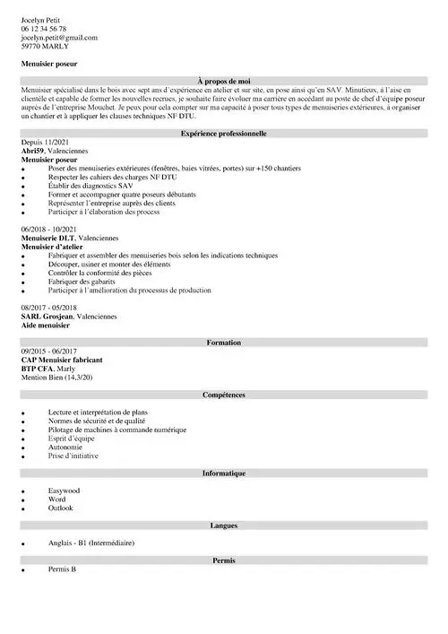 Exemple de CV menuisier