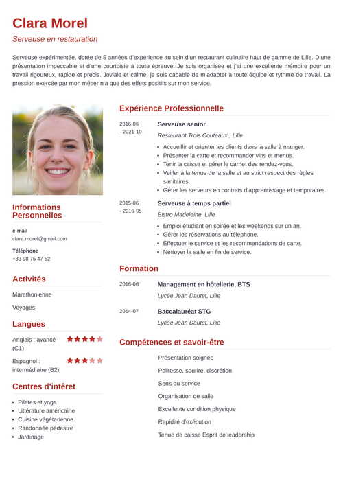 CV Parfait [exemple Pour Faire Le Meilleur CV En 2024]