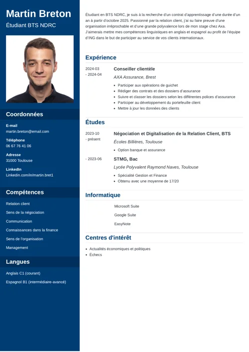 cv alternance exemple avec photo et colonne latérale bleu foncé
