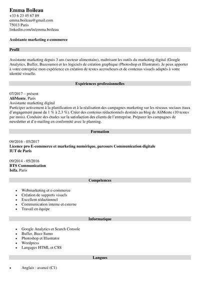 modeles cv artistiques
