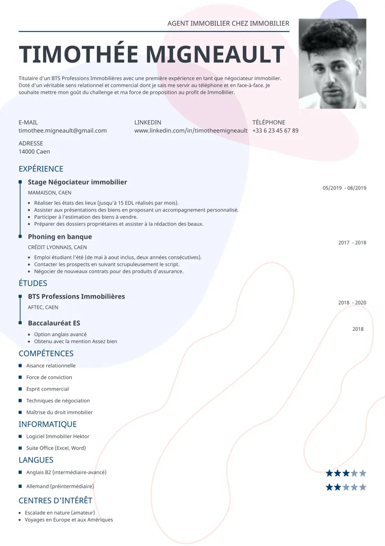 CV professionnel impetus