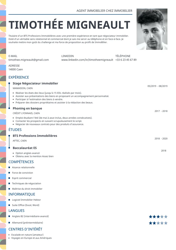 CV professionnel profile