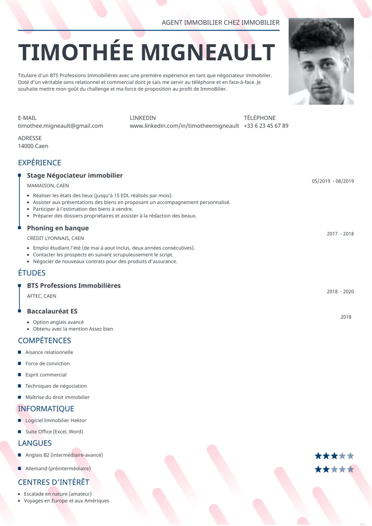 CV professionnel dynamic