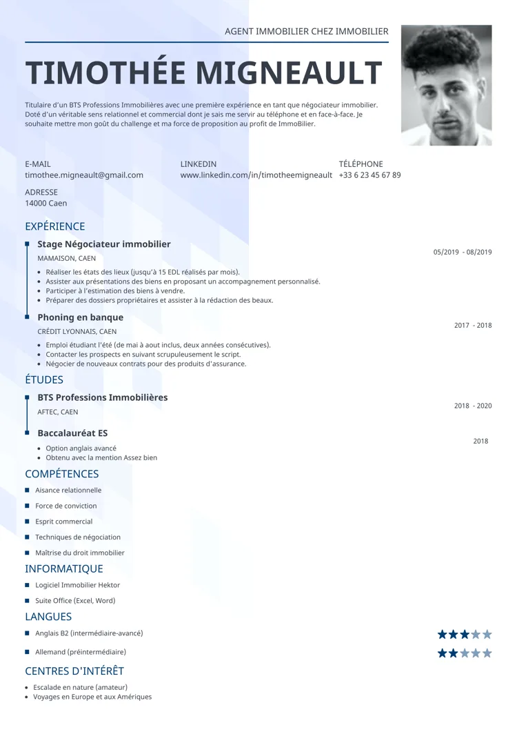 CV professionnel synergy