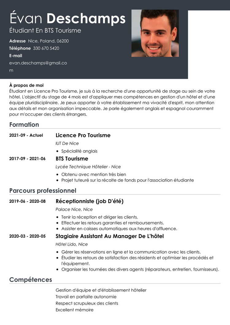 Mod Le De Cv Simple Efficace Et Facile Exemples