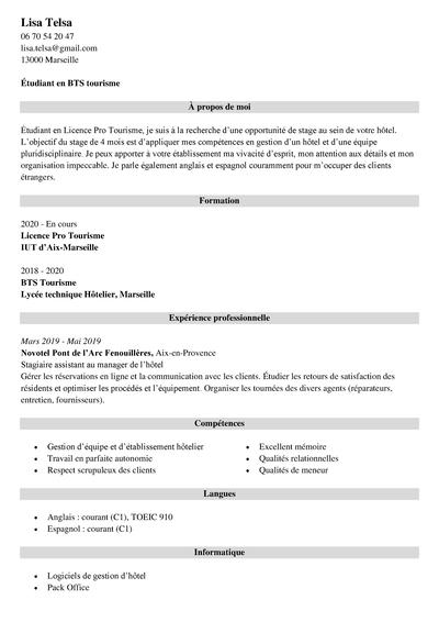 modeles cv simples