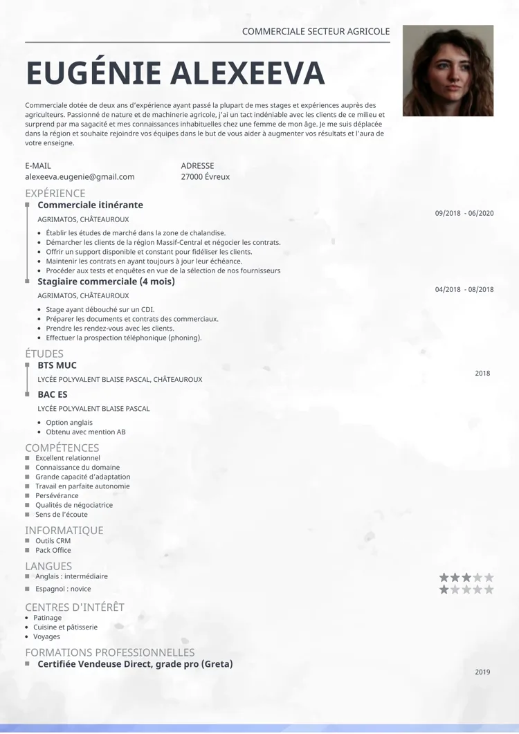 template cv ceramica