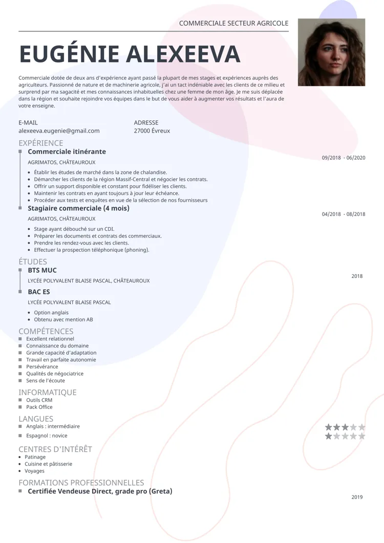 template cv impetus