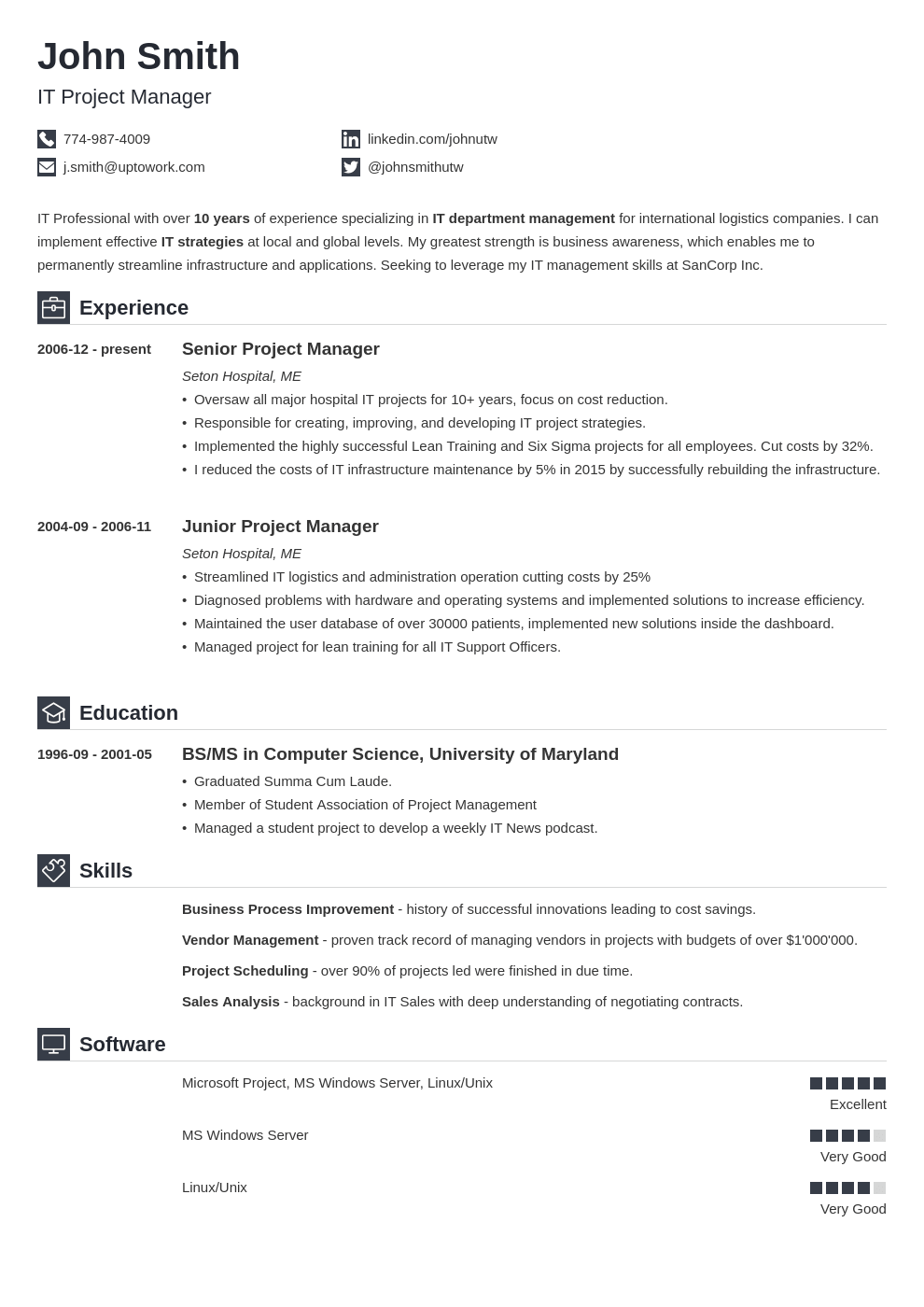 Modèle de CV professionnel Iconic