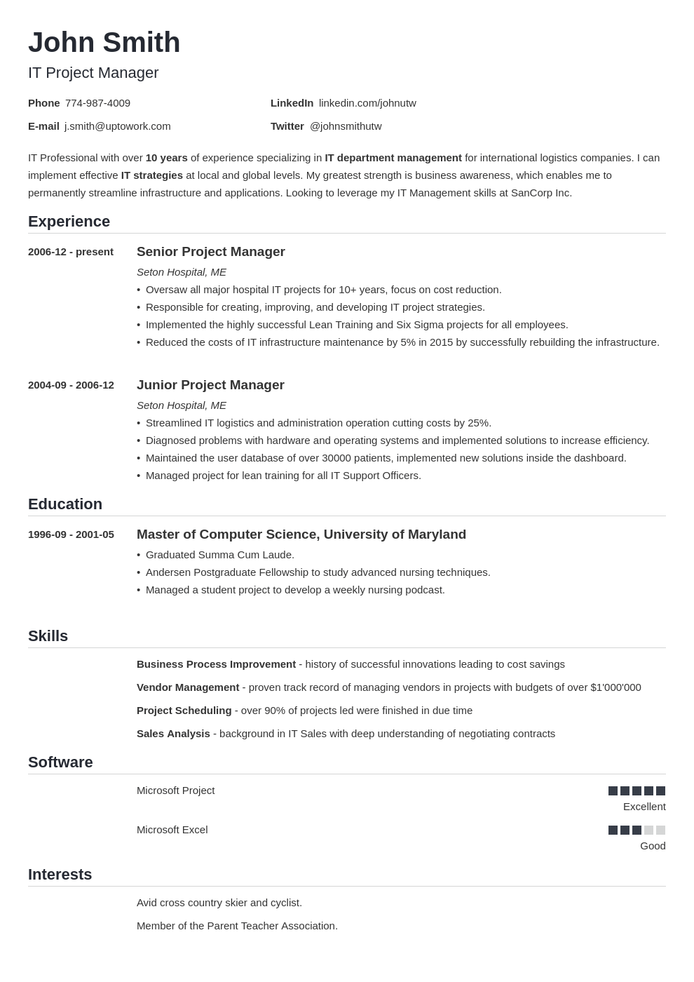 Modèle de CV professionnel Nanica