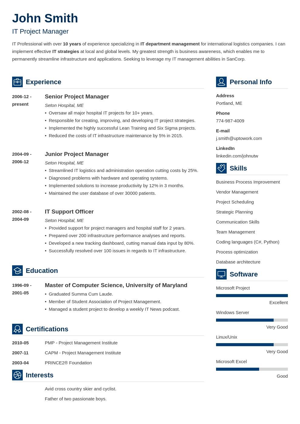 Modèle de CV professionnel Vibes